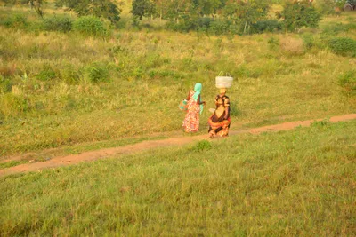 DSC_4345 (Large).JPG